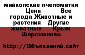  майкопские пчеломатки F-1  › Цена ­ 800 - Все города Животные и растения » Другие животные   . Крым,Ферсманово